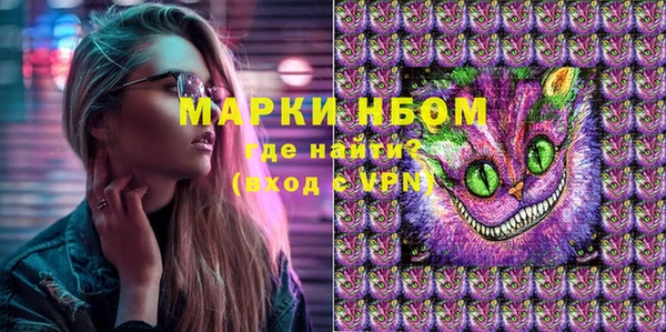 spice Аркадак