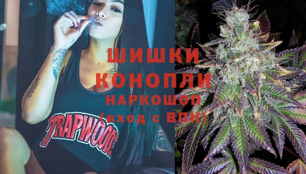 spice Аркадак