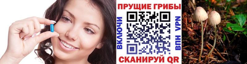 Галлюциногенные грибы Cubensis  Нижнеудинск 